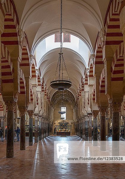 Säulenhalle mit Bögen im maurischen Stil  Gebetshalle der ehemaligen Moschee  Mezquita-Catedral de Córdoba oder Kathedrale der Empfängnis Unserer Lieben Frau  Córdoba  Provinz Cordoba  Andalusien  Spanien  Europa