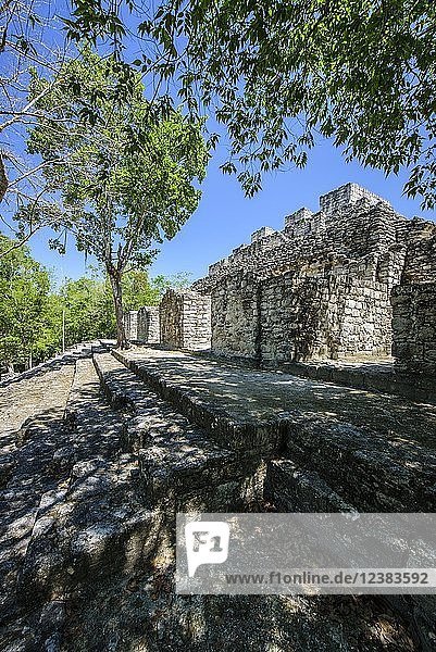 Maya-Stadt Calakmul  Biosphärenreservat Calakmul  Campeche  Mexiko  Mittelamerika