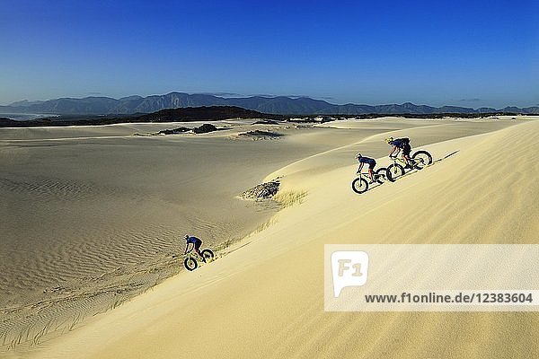 Mountainbiker mit Fatbikes fahren Sanddünen hinunter  Radfahren  Naturschutzgebiet  De Kelders  Gansbaai  Westkap  Südafrika  Afrika