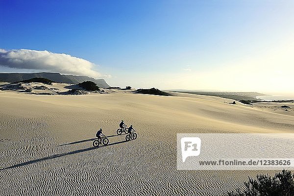 Mountainbiking auf Fatbikes durch Dünen  lange Schatten  Radfahren  Naturreservat  De Kelders  Gansbaai  Westkap  Südafrika  Afrika