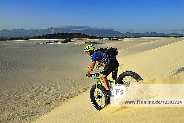 Cycling tour with fatbikes at Die Plaat Beach  Nature Reserve  De Kelders  Gansbaai  Western Cape  South Africa  Africa