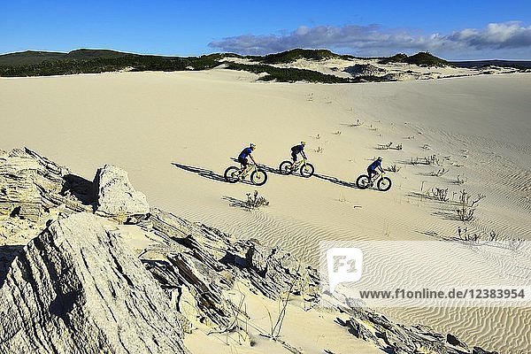 Mountainbiker auf Sanddüne Radtour mit Fatbikes am Die Plaat Beach Nature Reserve De Kelders Gansbaai Westkap Südafrika
