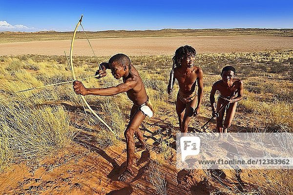 Buschmänner vom Volk der San bei der Jagd  Kalahari oder Kgalagadi Transfrontier Park  Nordkap  Südafrika  Afrika