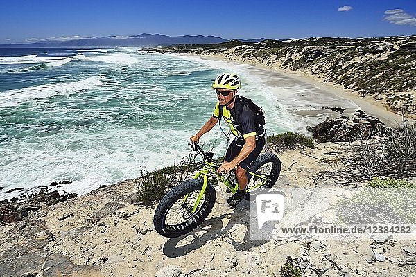 Mountainbiker with Fatbike on cliff  bike tour at Die Plaat Beach  Nature Reserve  De Kelders  Gansbaai  Western Cape  South Africa  Africa