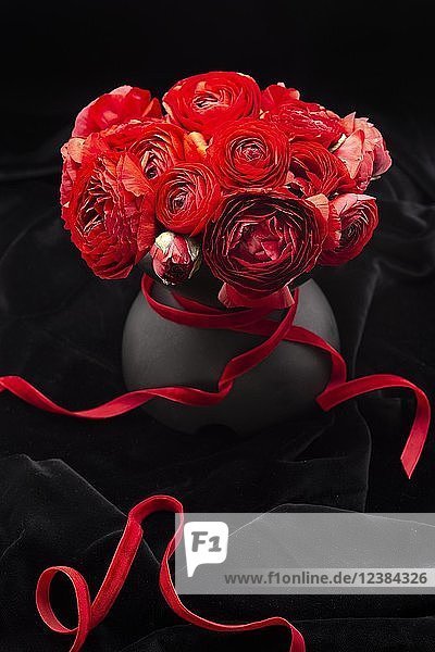 Schwarze Blumenvase mit roten Ranunkeln und roter Schleife auf schwarzem Samt