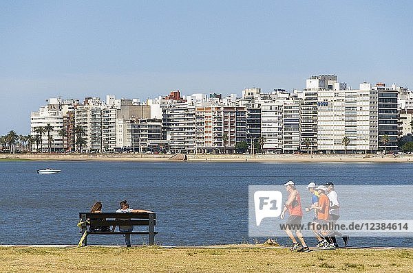 Joggers and people on a bench at the Rambla  promenade of Montevideo  Uruguay  South America