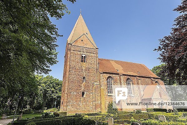 Kirche  Kirchdorf  Insel Poel  Mecklenburg Vorpommern  Deutschland  Europa