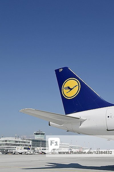 Blick auf das Vorfeld Ost  mit Lufthansa und verschiedenen Fluggesellschaften  Terminal 2  Flughafen München  Oberbayern  Bayern  Deutschland  Europa