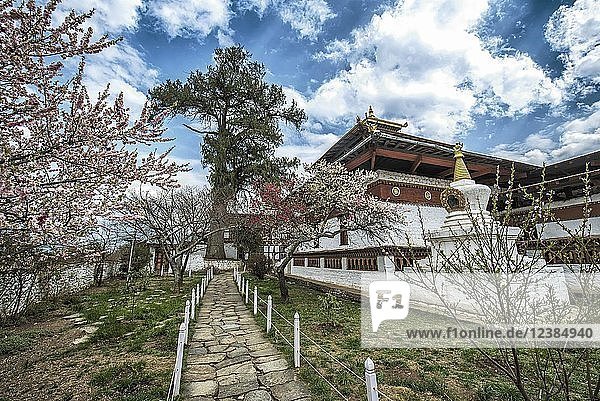 Buddhistischer Tempel Kyichu Lhakhang im Frühling Paro Paro-District Himalaja-Region Bhutan Asien