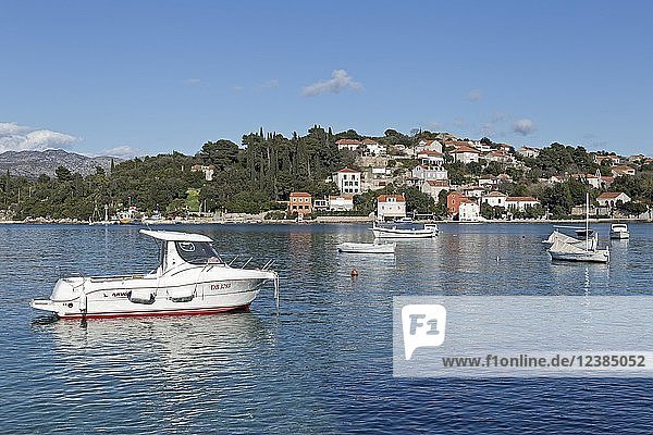 Boote  Küstenstadt Donje Celo  Insel Kolocep  Elaphitische Inseln  Dalmatien  Kroatien  Europa
