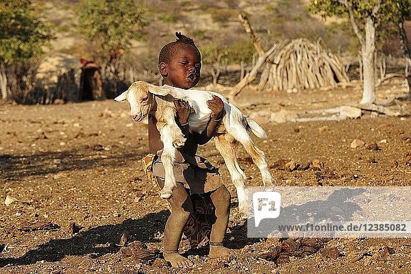 Little Himba boy carrying a goat  Kunene District  Kaokoveld  Namibia  Africa