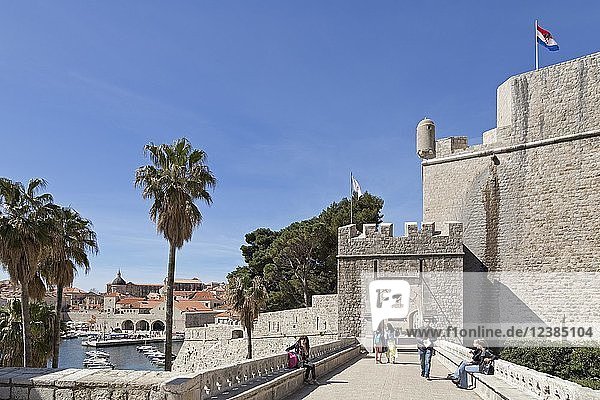 Ploce-Tor  Stadtmauer  Altstadt  Dubrovnik  Kroatien  Europa