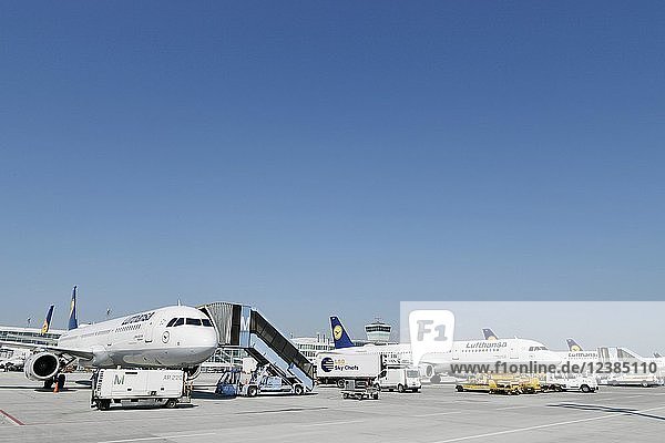 Blick auf das Vorfeld Ost  mit Lufthansa Line Up  Flughafen München  Oberbayern  Bayern  Deutschland  Europa
