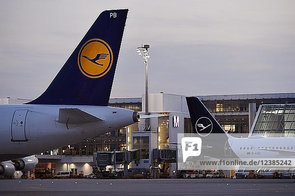 Lufthansa Airbus A321-100 New Livery altes und neues Lufthansa Design in der Abenddämmerung vor Terminal 2 Flughafen München Oberbayern Bayern Deutschland Europa