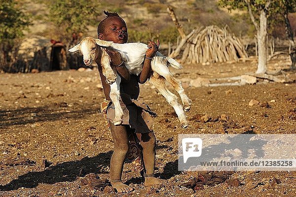 Kleiner Himba-Junge trägt eine Ziege  Bezirk Kunene  Kaokoveld  Namibia  Afrika