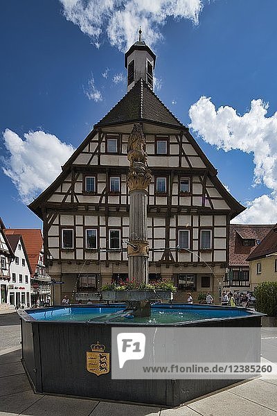 Brunnen vor dem Rathaus am Marktplatz  Blaubeuren  Schwäbische Alb  Baden-Württemberg  Deutschland  Europa