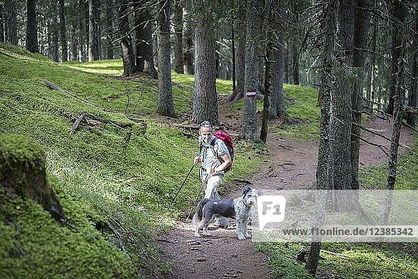 Ein Wanderer und sein Hund im Rauriser Urwald  Nationalpark Hohe Tauern  Kolm Saigurn  Rauris  Salzburger Land  Österreich  Europa