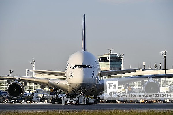 Lufthansa  Airbus  A380-800  mit Push Back Truck beim Schleppen von der Position zum Rollfeld vor dem Satellitengebäude (Terminal 2)  Abendstimmung  Flughafen München  Oberbayern  Bayern  Deutschland  Europa