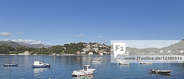 Boote  Küstenstadt Donje Celo  Insel Kolocep  Elaphitische Inseln  Dalmatien  Kroatien  Europa