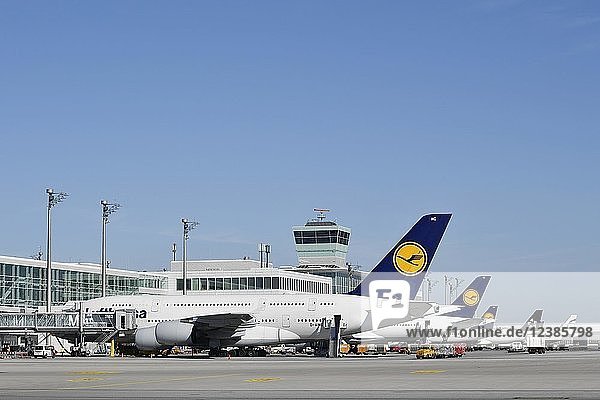 Lufthansa  Airbus  A380-800  Terminal 2  Flughafen München  Oberbayern  Bayern  Deutschland  Europa
