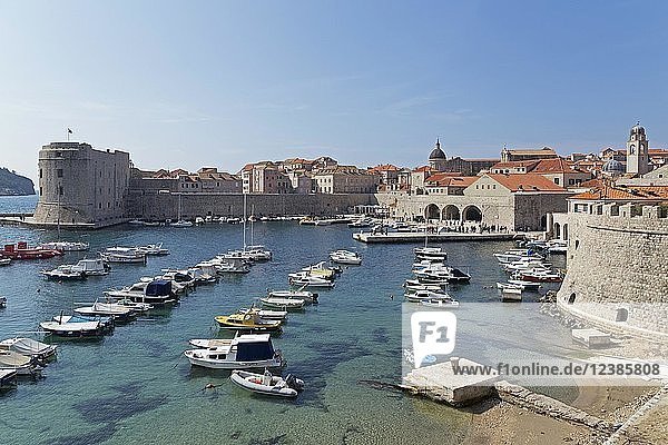 Alter Hafen  Altstadt  Dubrovnik  Kroatien  Europa