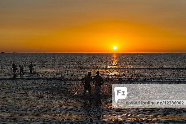 Silhouette  Schwimmer bei Sonnenuntergang am Rio de la Plata  Stadtstrand von Montevideo  Uruguay  Südamerika