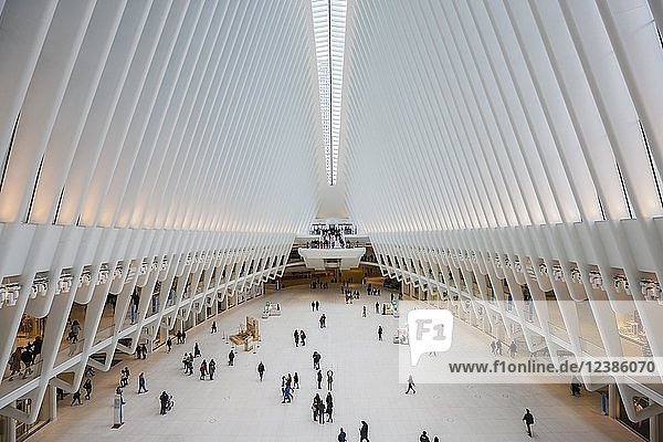 Oculus Subway Station  Ground Zero  World Trade Center  Manhattan  NYC  New York  USA  Nordamerika