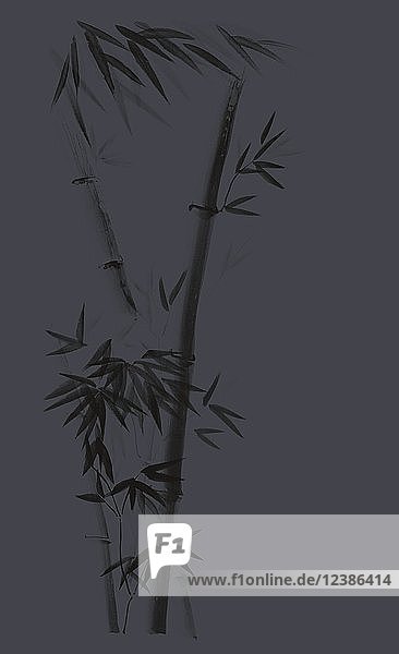 Künstlerisches Design in japanischer Zen-Tuschezeichnung mit Bambusstiel und jungen Blättern Illustration