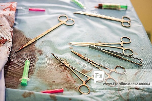 Silver gynecologist tools used during childbirth in the hospital