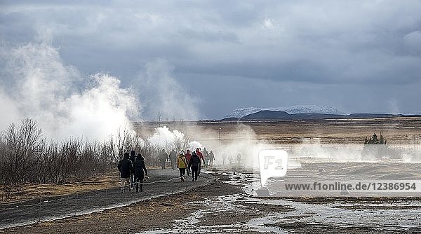 Tourists at the Haukadalur geothermal field  steaming hot springs  Golden Circle  South Iceland  Iceland  Europe