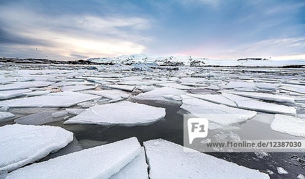 Ice floes  glacier Jökulsárlón lagoon  glacier lake  sunset  southern edge of Vatnajökull  southeast Iceland