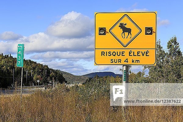 Schild warnt vor Elchen  die die Straße überqueren  Highway 138  Provinz Québec  Kanada  Nordamerika