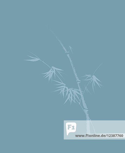 Künstlerisches Design in japanischer Zen-Tuschezeichnung mit Bambusstiel und jungen Blättern Illustration