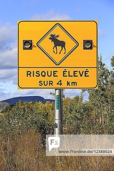 Sign warns of moose crossing the road  Highway 138  Québec Province  Canada  North America