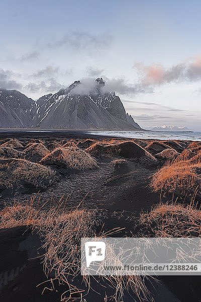 Evening atmosphere Black sand beach dunes with dry grass mountains Klifatindur Eystrahorn and Kambhorn headland Stokksnes massif Klifatindur Austurland East Iceland Iceland Europe