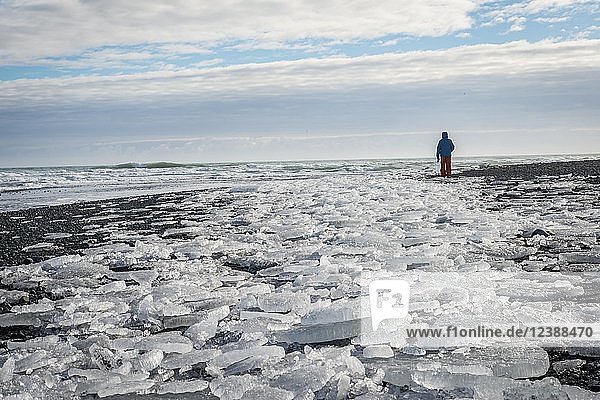 Mann geht durch Eisschollen am schwarzen Strand  Diamond Beach  Fjallsárlón Gletscherlagune  Ostisland  Island  Europa