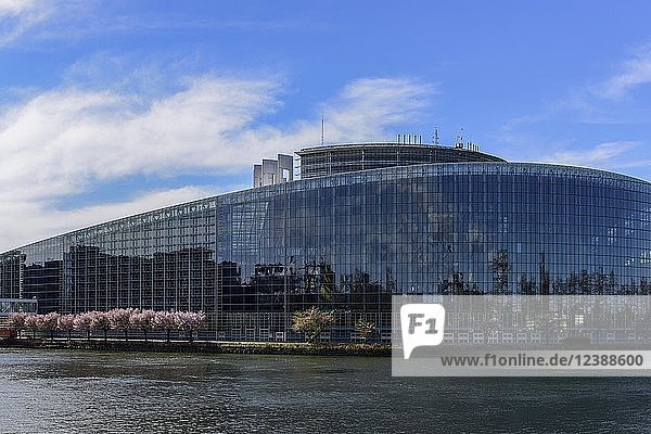 Europäisches Parlament in Straßburg  Elsass  Frankreich  Europa