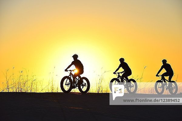 Drei Radfahrer auf Fatbikes im Gegenlicht bei Sonnenuntergang  Plaat Beach  Naturschutzgebiet  De Kelders  Gansbaai  Westkap  Südafrika  Afrika