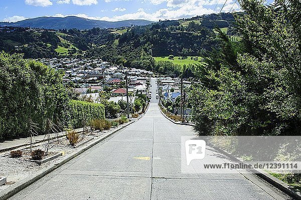 Baldwin Street die steilste Wohnstraße der Welt  Dunedin  Südinsel  Neuseeland  Ozeanien
