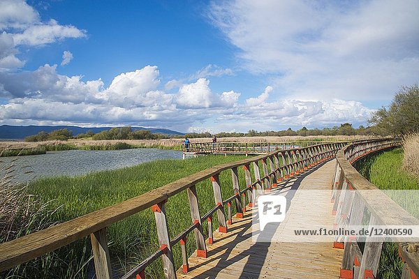 Tablas de daimiel National Park  Ciudad Real province  Castilla La Mancha  Spain.