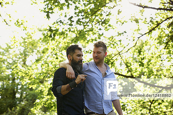 Affectionate male gay couple walking in sunny park