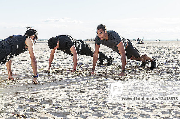 Men doing push-ups on sunny beach
