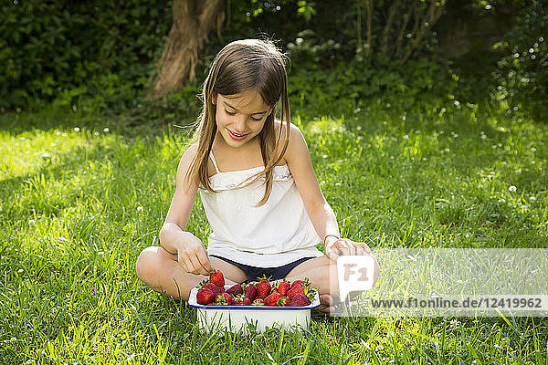 Smiling little girl sitting on meadow with bowl of strawberries