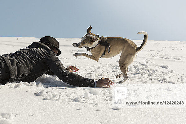 Man playing with dog in winter  lying on snow