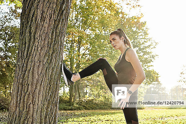 Sportive woman stretching leg on tree trunk