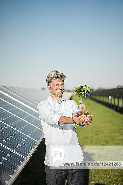Mature man looking at privet  solar plant