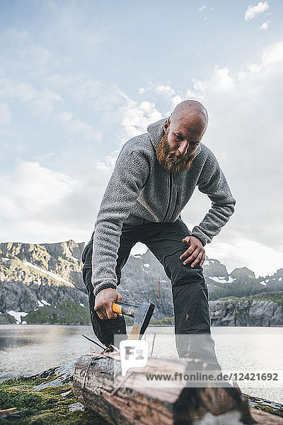 Norway  Lofoten  Moskenesoy  Young man chopping wood