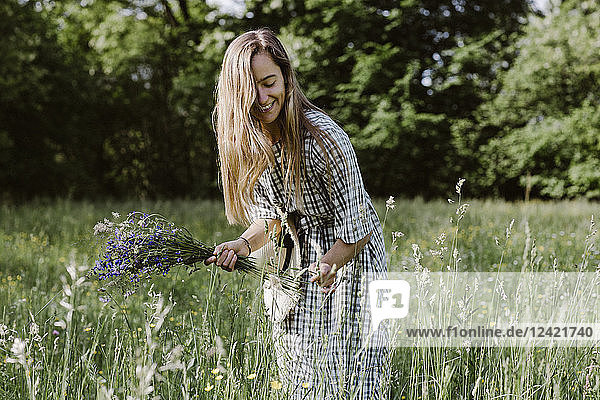 Italy  Veneto  Young woman plucking flowers and herbs in field