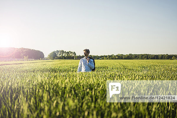 Businessman standing in grain field