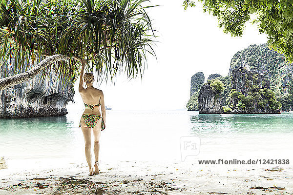 Thailand  Ko Hong  back view of woman standing on the beach looking to the sea